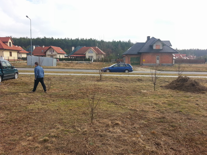 blog budowlany - mojabudowa.pl