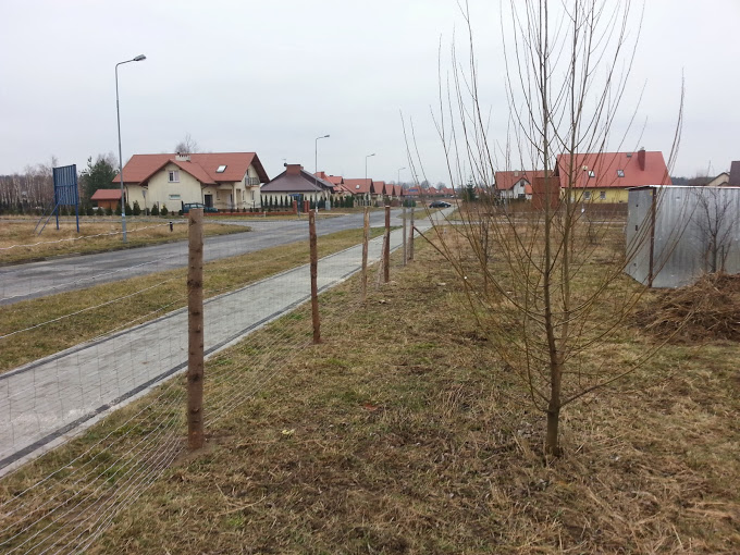 blog budowlany - mojabudowa.pl